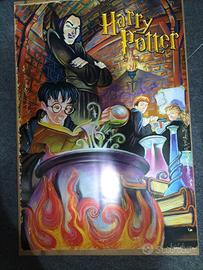 poster dì Harry Potter e quidditch.