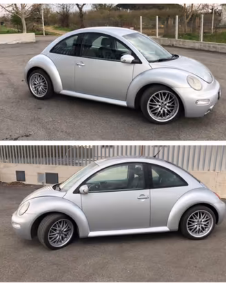 New beetle
