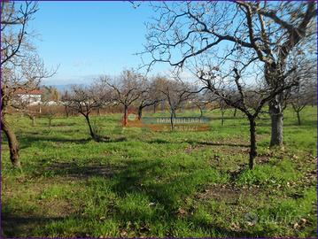 Terreno agricolo di 6.241 mq