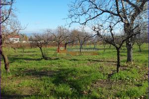 Terreno agricolo di 6.241 mq