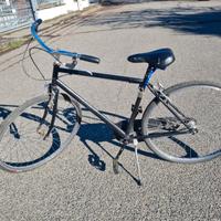Bicicletta da Uomo