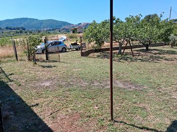 Terreno agricolo