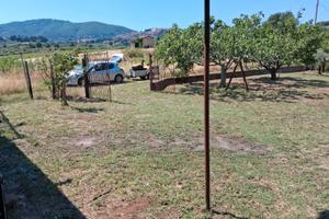 Terreno agricolo