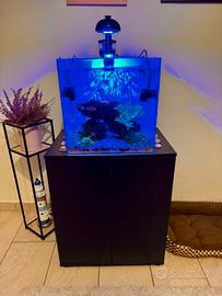 Acquario marino completo AqPet