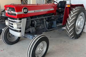 Ferguson 165
