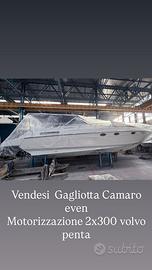 Gagliotta Camaro Even