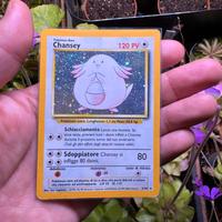 Chansey Set Base Holo Ita