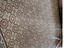 Immagine 19