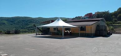 Gazebo 10x10 NUOVO  professionale  certificato CE