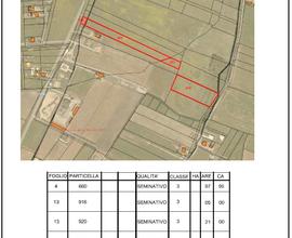 Terreno localita' vermica
