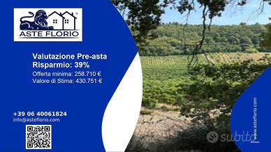 Immobile in asta di 93361 m² a Ripatransone
