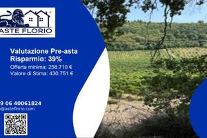 Immobile in asta di 93361 m² a Ripatransone