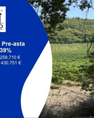 Immobile in asta di 93361 m² a Ripatransone