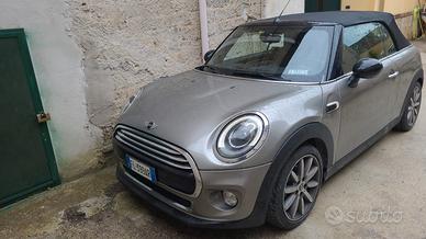 mini cabrio 
