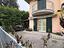 Immagine 9
