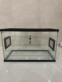 Teca Geco Leopardino