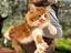 Immagine 6