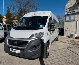 Fiat Ducato 2.3 MJT 130 CV 8 Posti T. Disabili Con