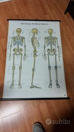 stampe per studio medico