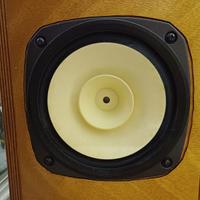 Altoparlanti FOSTEX FE 206 EN