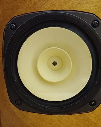Altoparlanti FOSTEX FE 206 EN