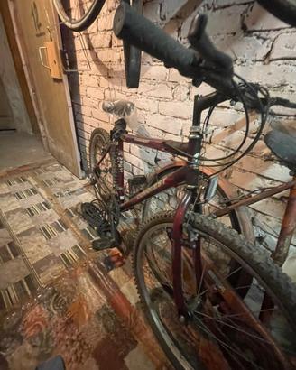 Bici conquest