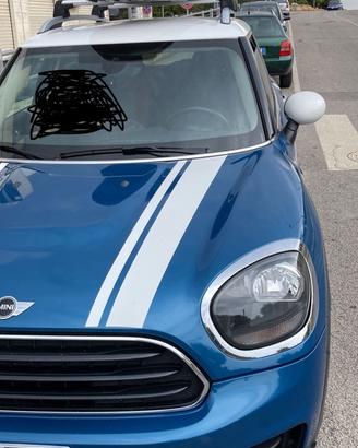 Box portatutto + barre tutto originale Mini