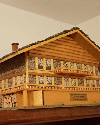 Casina miniatura 