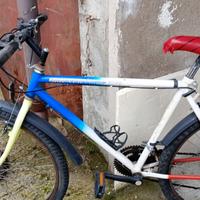 Mountain bike  