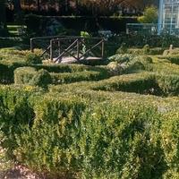 potature  e manutenzioni parchi e giardini  12€ H