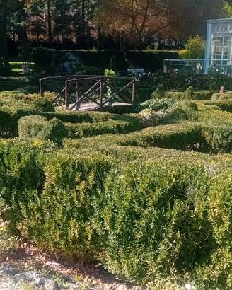 potature  e manutenzioni parchi e giardini  12€ H