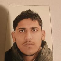 Allevatore di bovini