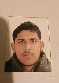 Allevatore di bovini