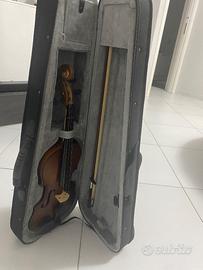 Violino
