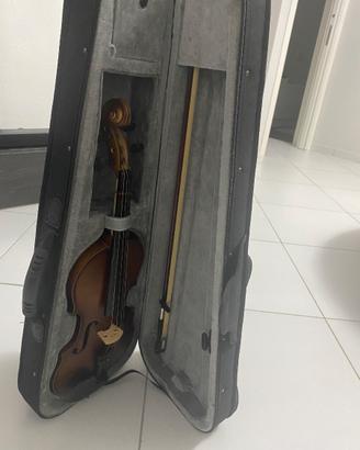 Violino