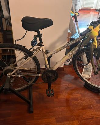 Bici con Rullo allenamento indoor