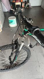 bicicletta  