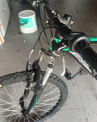 bicicletta  