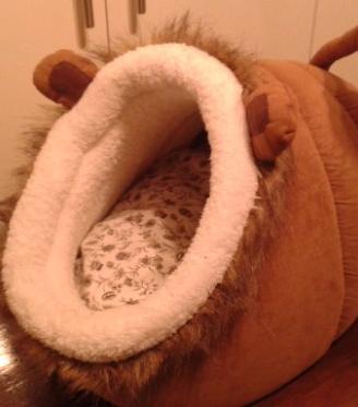 Cuccia per gatto o cane piccola taglia