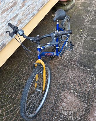 mountain bike