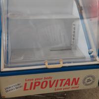 frigorifero vintage lipovan funzionante 