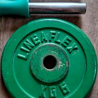 Pesi  Dischi Manubri Bilanciere palestra