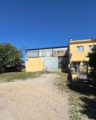MAGAZZINO A ARICCIA