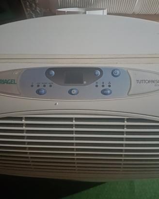climatizzatore portatile 