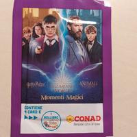 Carte harry potter