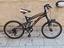 Immagine 3