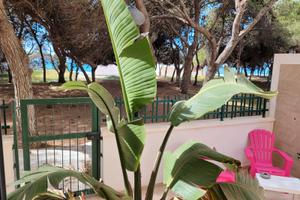 Fronte pineta mare gallipoli