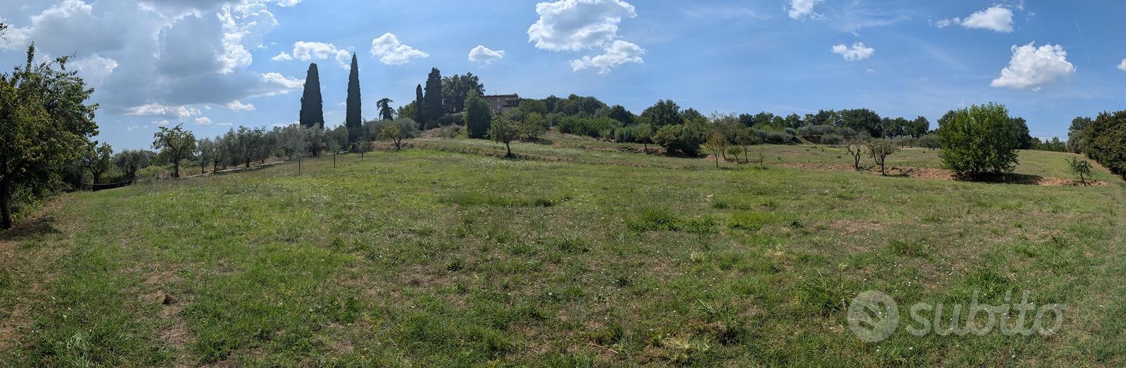 Terreno agricolo in Via Chianti Valdarno 1 - Altro