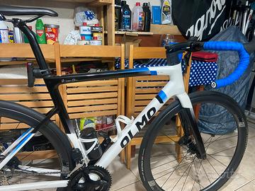 Bici da corsa olmo