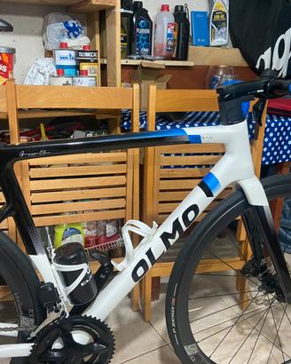 Bici da corsa olmo